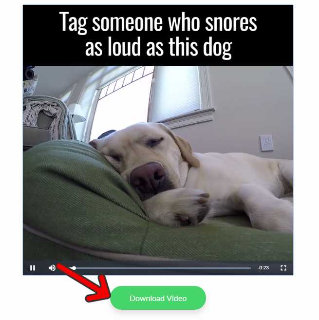 How to Download Social Videos Using Chrome Extension