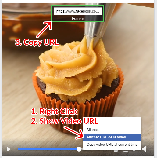 How to Download Facebook Videos - Step 1